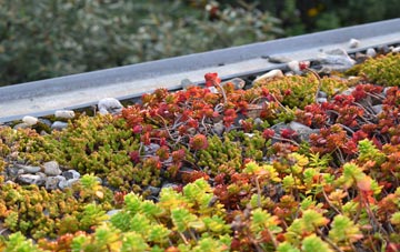 the cost of Bomere Heath green roof installation