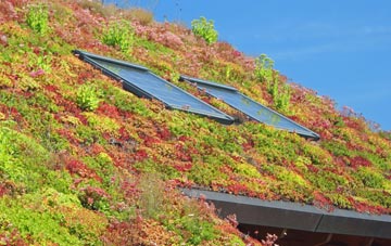 Bomere Heath living roof systems
